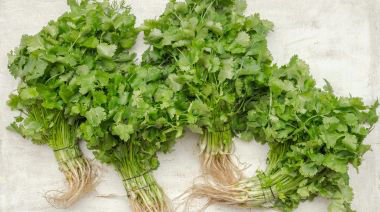 garnishing-instructions-image
